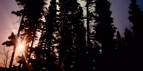 DbD is at Once Upon a Christmas