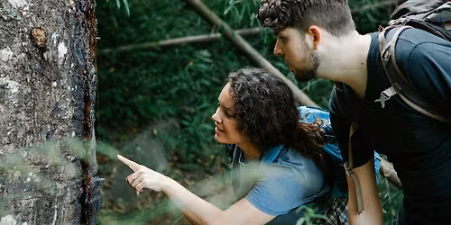 Advanced Tree ID Trek