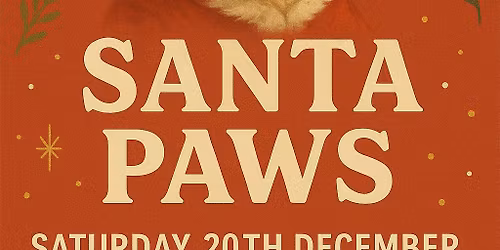 Santa Paws \ud83c\udf85\ud83d\udc3e