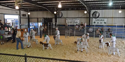 Mendocino County Junior Livestock Auction 