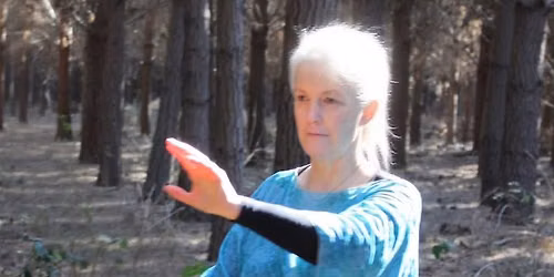Tai Chi: The Grand Ultimate \u2014 Papanui Term Starts July 20th