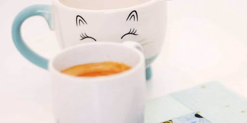 Quilted Mug Rug