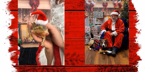Photos with Santa