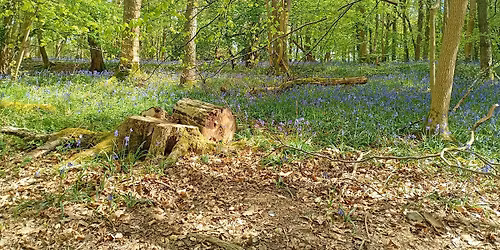 Local Folklore Walk