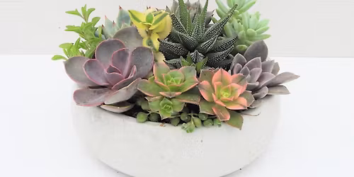Workshop: Succulent Bowl Gardens