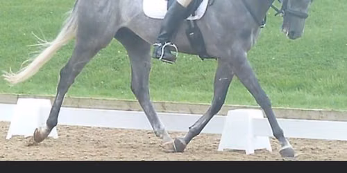 Rutland Riding Club Open Dressage competition at Grange Farm Wittering