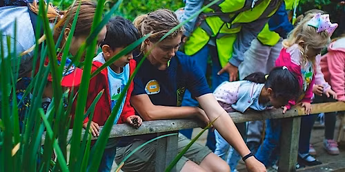 Family Nature Fun at Clayton Vale - May half term