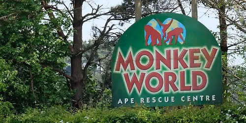 Monkey World!