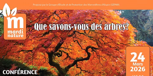 Conf\u00e9rence - Que savons-nous des arbres ?  