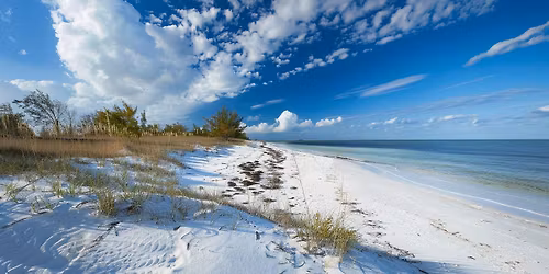 Parking Some Like it Hot - Fort Myers