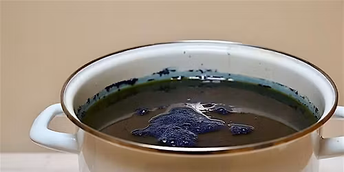 Community Indigo Dye Day