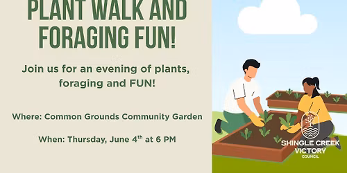 Summer Foraging and Plant Walk with Natural Me! Registration Required