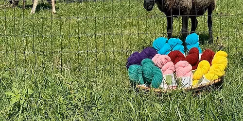 Summer Yarn Event
