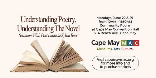 Understanding Poetry, Understanding The Novel: Seminars With Poet Laureate Sylvia Baer