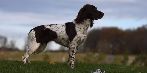 Felttrening for klubbens medlemmer