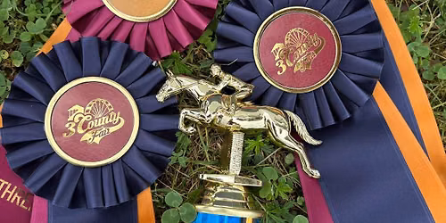 3 County Fair Horse Show