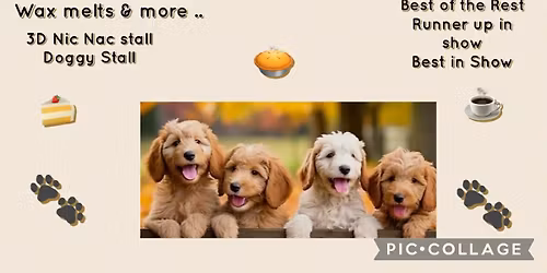 HAPPIER DAYS FOR STRAYS MAY EVENT 