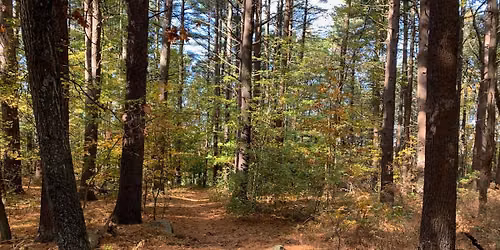 Village View Trails Guided Hike