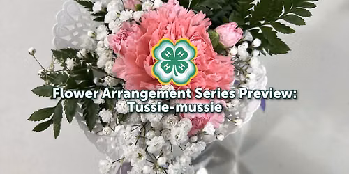 Flower Arrangement Series: Tussie-mussie