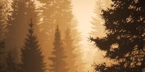 44. Mysliveck\u00fd ples 2026