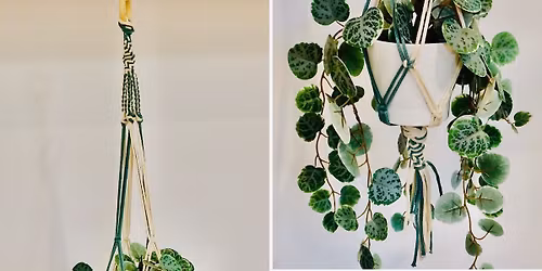 Introduction to Macrame Hosted by Creative Coati