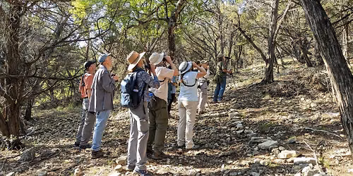 Bird Behavior Hike with Travis Audubon