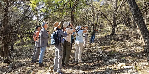 Bird Behavior Hike with Travis Audubon