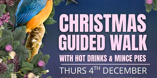 All-female Birding & Bird Photography Morning