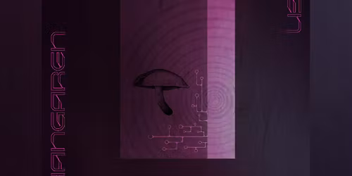 Maara, Martin Gillesh\u00f8j, Crisco