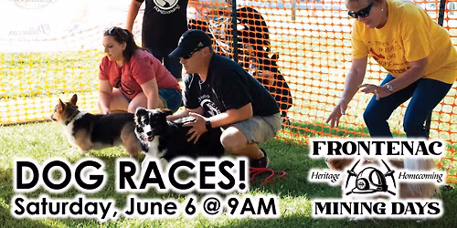 Dog Races!
