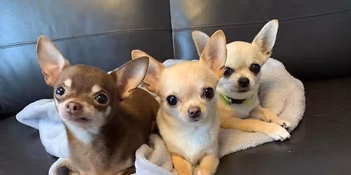 chrismas Love \ud83d\ude0d 