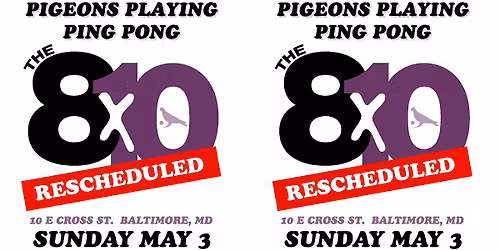 Pigeons Playing Ping Pong 