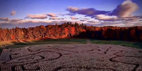 Corn Maze Nights