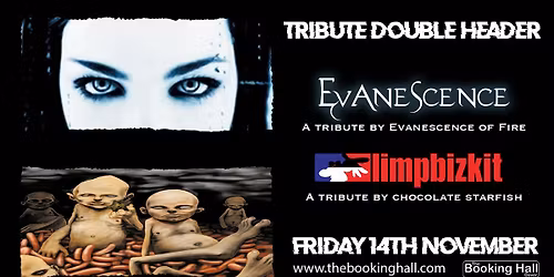 Evanescence vs Limp Bizkit