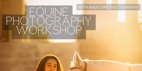 Kelpie Inspired Equine Shoot on the beach at Sunset- Scotland