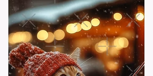 Christmas at the Cat Inn, Enville