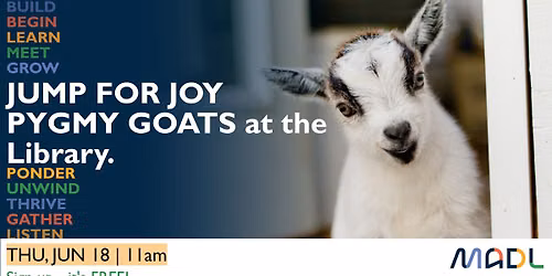 Jump for JOY Pygmy Goats