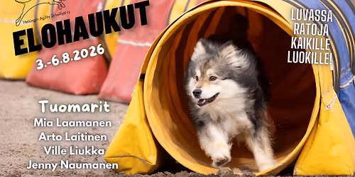 EloHAUkut