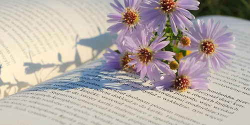 Biblioterapi - pr\u00f6va-p\u00e5