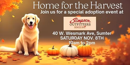 Simpsons Home for the Harvest - Special Adoption Event