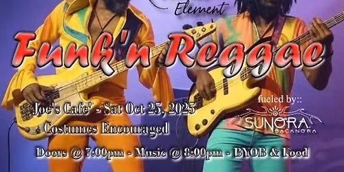 Acoustik Element - Funk'n Reggae 