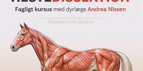 Heste Dissektion 