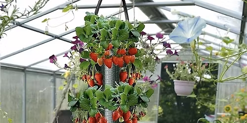 Learn How & Create Your Own Hanging Garden Bag, Vegetables, Herbs & Flowers