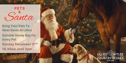 Pets Santa Grotto At Lillico 