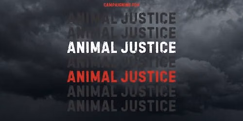Manchester March | Hartshead Meats Animal Justice