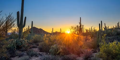 Courtroom Series: Jury Questionnaires and Jury Selection