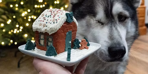 Gingerbread Dog House Decorating at Skiptown