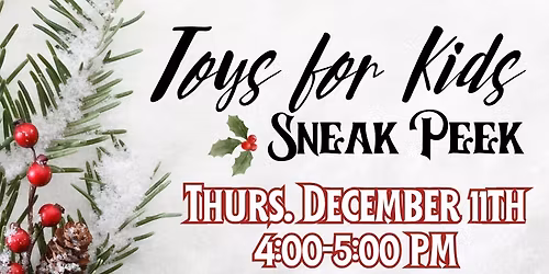 Toys For Kids Sneak Peek- Business After-Hours