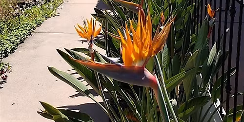 Orange County Chapter - Paint\/Sculpt Out at Casa Romantica