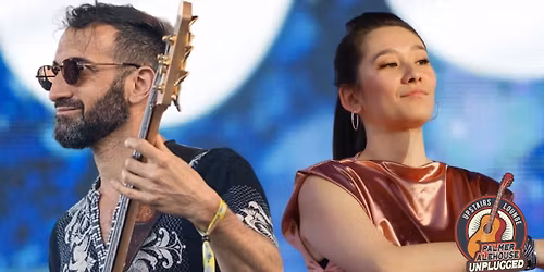 Palmer Alehouse Unplugged: The Nick Anthony Band